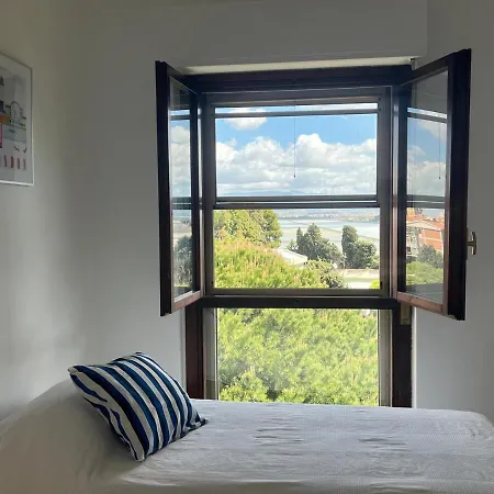 Med Vista