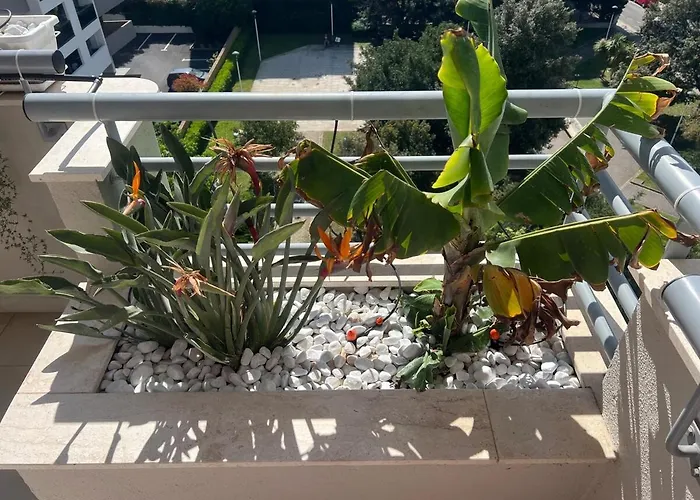 Med Vista